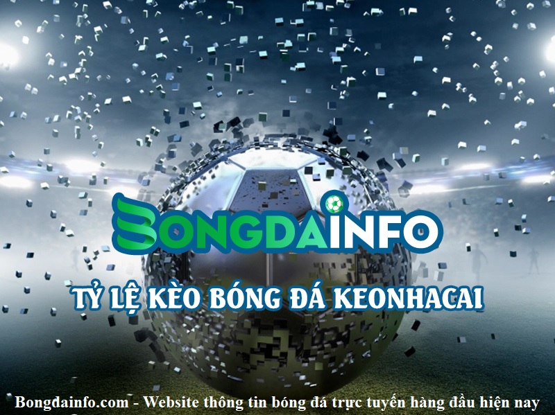 bongdainfo-com-website-thong-tin-bong-da-truc-tuyen-hang-dau-hien-nay