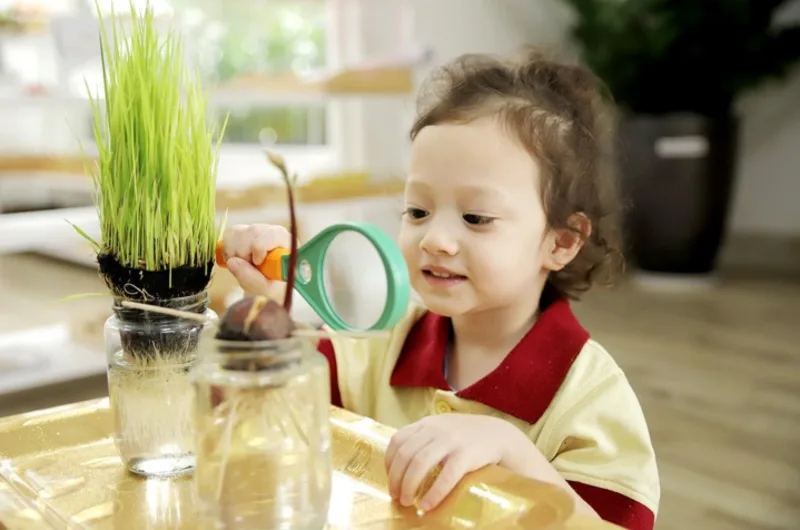 Montessori cho trẻ quyền lựa chọn, nhưng luôn đi kèm giới hạn rõ ràng và trách nhiệm với môi trường chung.