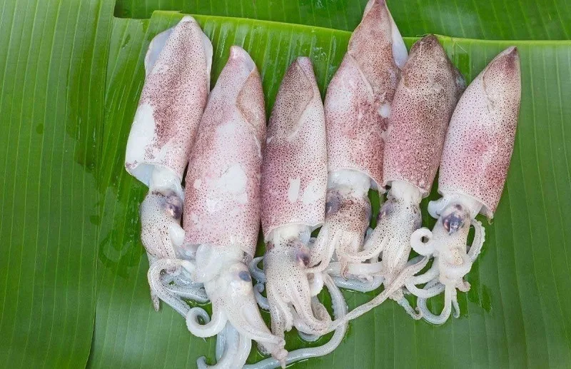 an muc co tot khong